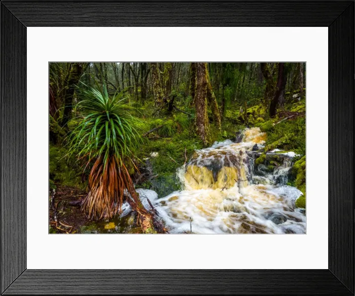 Framed Print : Waterfall at Overland track, Tasmania Framed Print : Waterfall at Overland track, Tasmania