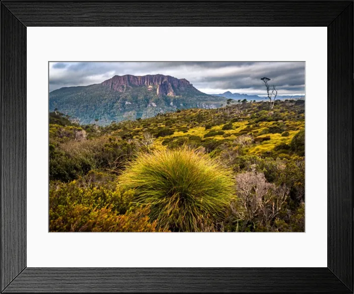 Framed Print : Mount Oakleigh, Overland track, Tasmania Framed Print : Mount Oakleigh, Overland track, Tasmania