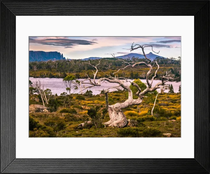 Framed Print : Mount Oakleigh, Overland track, Tasmania Framed Print : Mount Oakleigh, Overland track, Tasmania