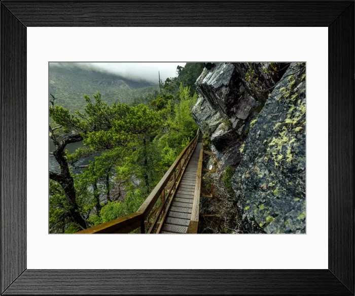 Framed Print : Trail section at Dove Lake circut