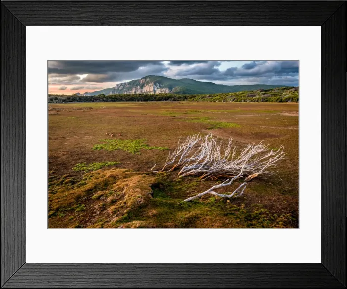 Framed Print : Dry pond at Cape Raoul, Tasman Peninsula, Tasmania