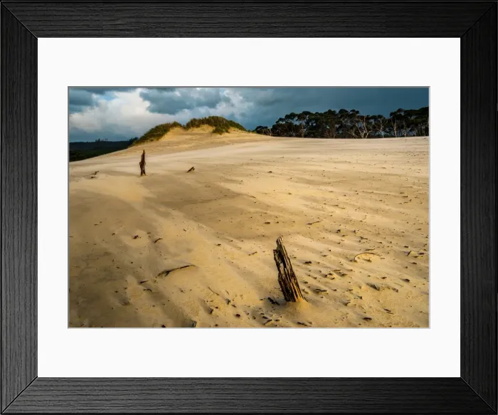 Framed Print : Henty Dunes at Tasmanian West Coast