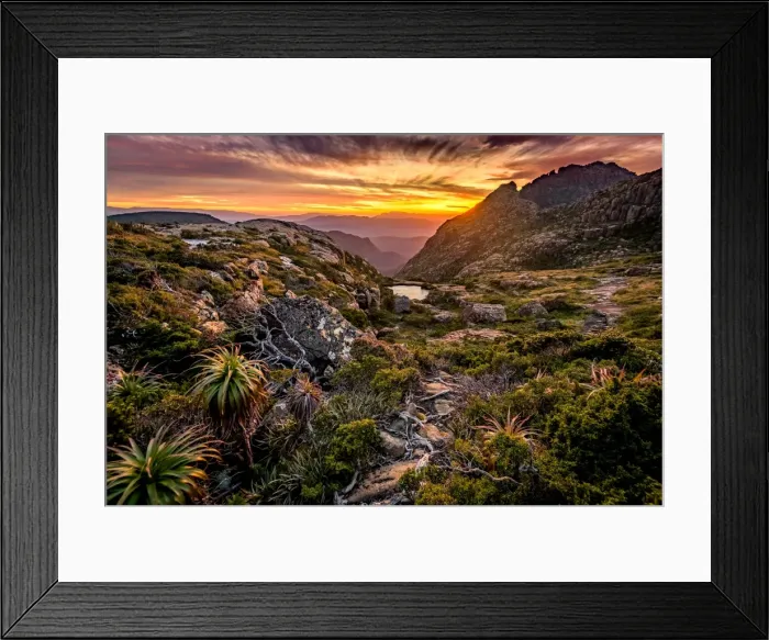 Framed Print : Following a track to the Lighting Ridge at mt Anne plateau in South West Tasmania