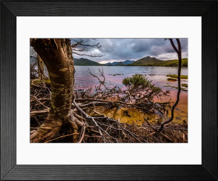 Framed Print : Sunset at Horseshoe Inlet deep in the Southwest Wilderness, Tasmania Framed Print : Sunset at Horseshoe Inlet deep in the Southwest Wilderness, Tasmania