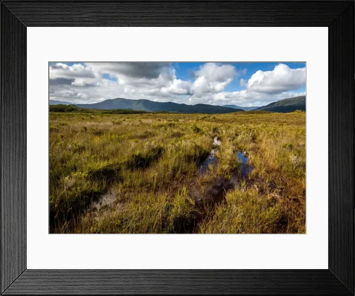 Framed Print : Port Davey track at Melaleuca Plains, Southwest Tasmania Framed Print : Port Davey track at Melaleuca Plains, Southwest Tasmania