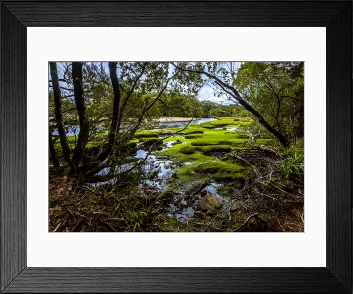 Framed Print : New Falls Creek at New Harbor, South West Cape track, Southwest Tasmania Framed Print : New Falls Creek at New Harbor, South West Cape track, Southwest Tasmania