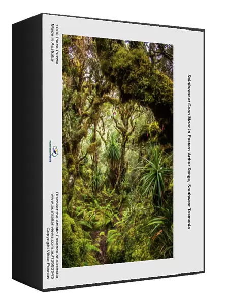 Rainforest at Goon Moor in Eastern Arthur Range, Southwest Tasmania
