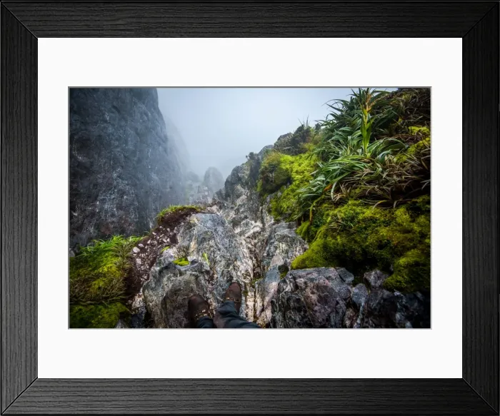 Framed Print : Steep track down to Lake Oberon Western Arthurs Range, Southwest Tasmania