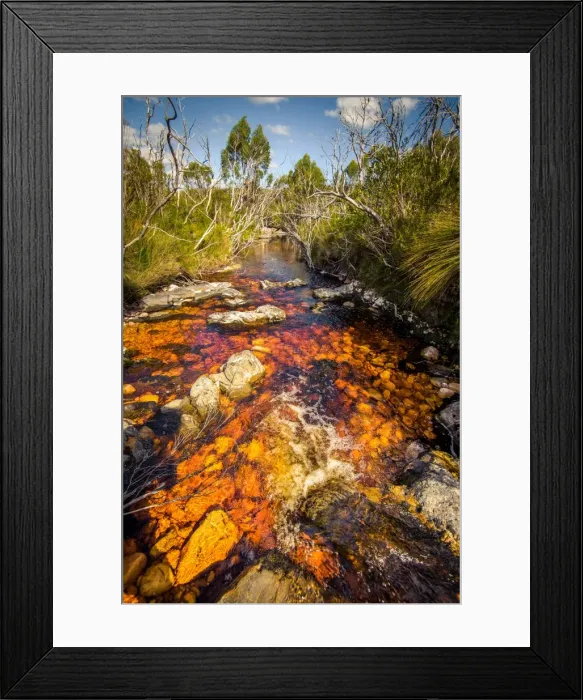 Framed Print : River (Pass Creek) at Arthur Plains in Southwest Tasmania Framed Print : River (Pass Creek) at Arthur Plains in Southwest Tasmania