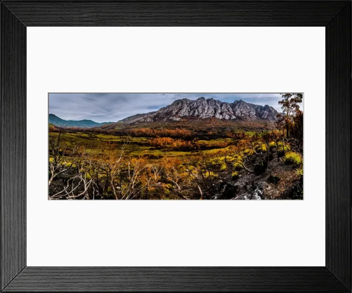 Framed Print : View to the Sentinel Range in Gordon River Valley after 2016 fires. Southwest Tasmania Framed Print : View to the Sentinel Range in Gordon River Valley after 2016 fires. Southwest Tasmania
