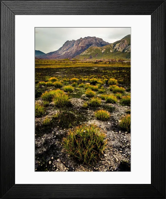 Framed Print : View to the Sentinel Range in Gordon River Valley after 2016 fires. Southwest Tasmania
