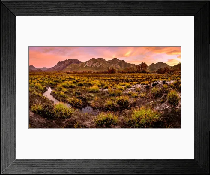 Framed Print : View to the Sentinel Range in Gordon River Valley after 2016 fires. Southwest Tasmania Framed Print : View to the Sentinel Range in Gordon River Valley after 2016 fires. Southwest Tasmania
