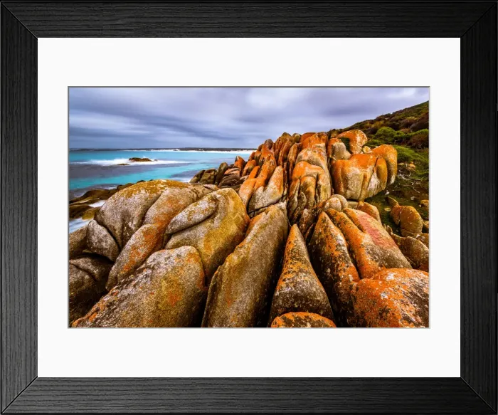 Framed Print : Mount William National Park at Bay of Fires, Tasmania Framed Print : Mount William National Park at Bay of Fires, Tasmania