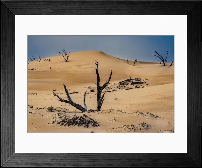 Framed Print : Reef Beach Dunes Framed Print : Reef Beach Dunes