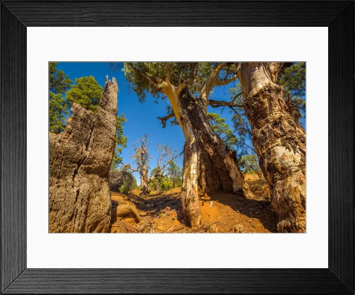 Framed Print : Sacred Canyon in Flinders Ranges, South Ausralia Framed Print : Sacred Canyon in Flinders Ranges, South Ausralia