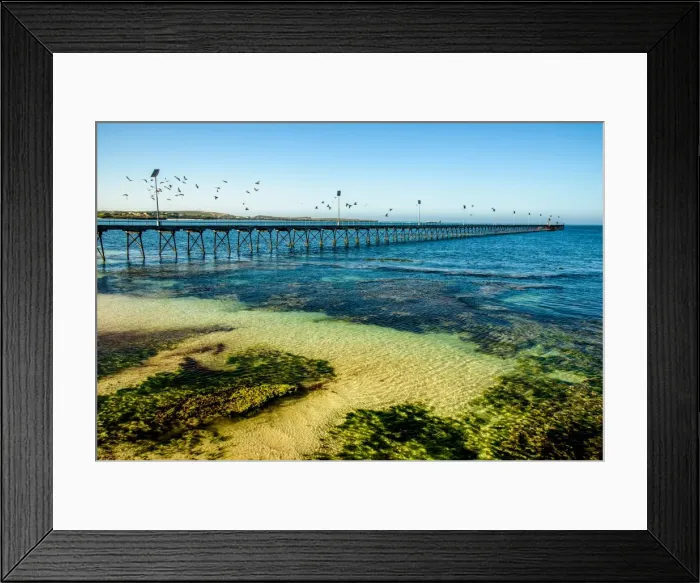 Framed Print : Pier in Elliston, South Australia Framed Print : Pier in Elliston, South Australia