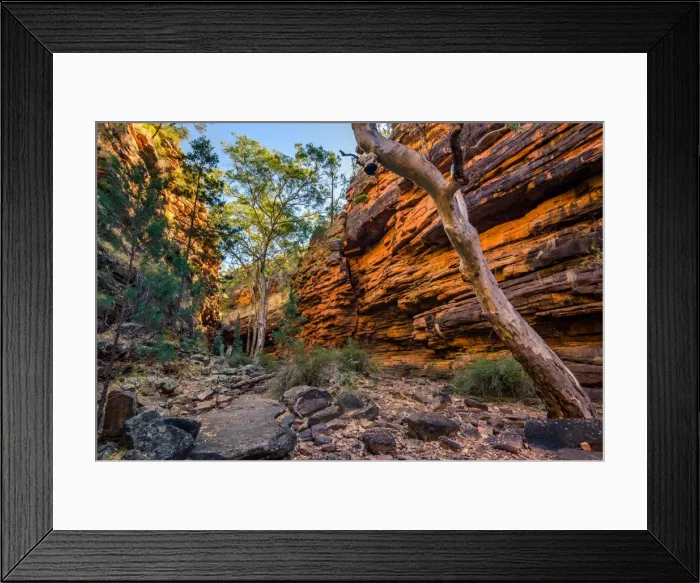 Framed Print : Alligator Gorge in Mount Remarkable National Park. Flinders Ranges, South Australia