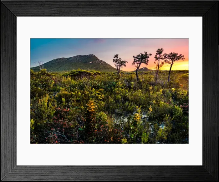 Framed Print : Quaalup (West Mount Barren) in Fitzgerald River National Park