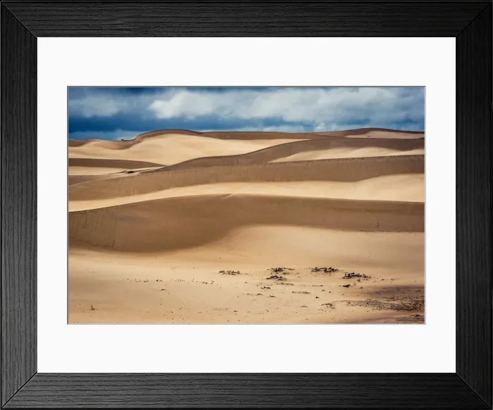Framed Print : Reef Beach Dunes Framed Print : Reef Beach Dunes
