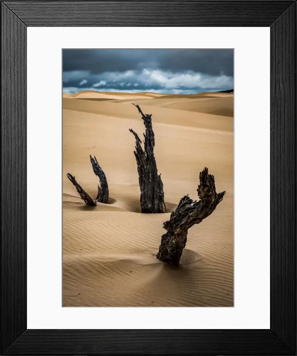 Framed Print : Reef Beach Dunes Framed Print : Reef Beach Dunes