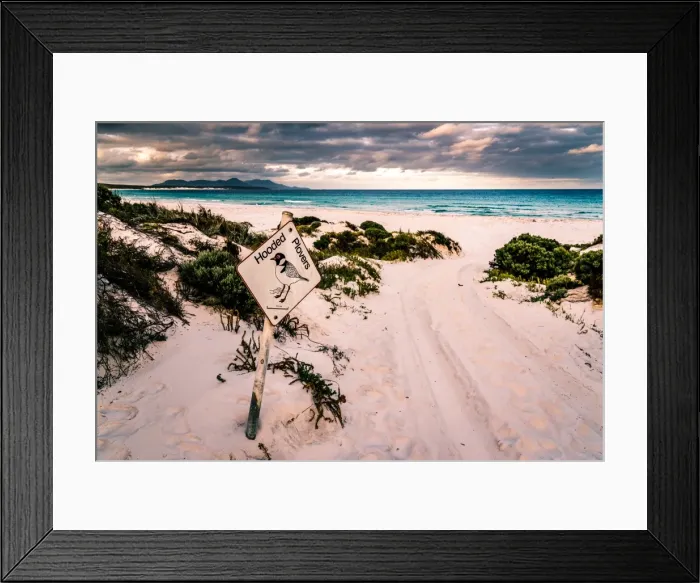 Framed Print : Hooded Plovers Sign at Point Charles Bay in Fitzgerald River National Park