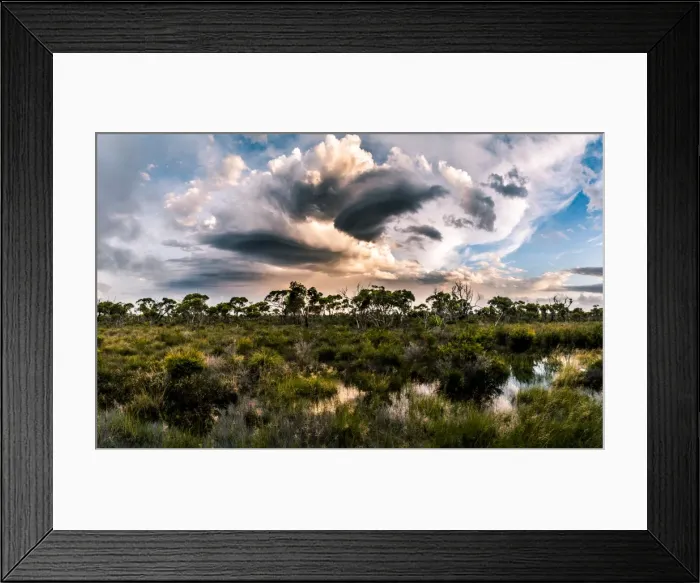 Framed Print : Hassell National Park, Western Australia Framed Print : Hassell National Park, Western Australia