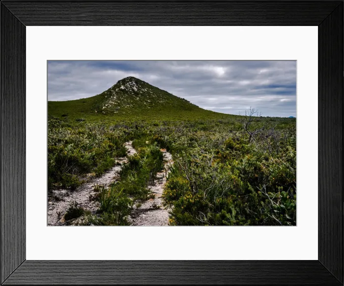 Framed Print : Hakea trail in Fitzgerald River National Park Framed Print : Hakea trail in Fitzgerald River National Park
