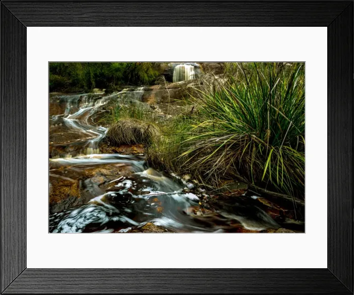 Framed Print : Small Creek in Karri Forest