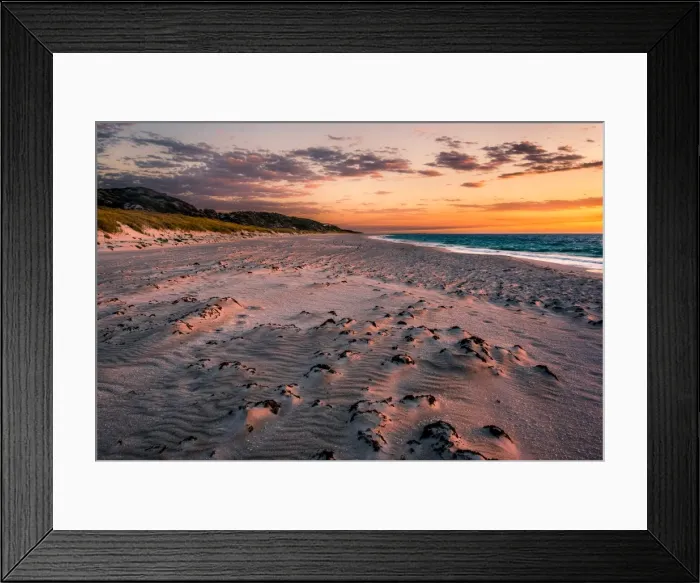 Framed Print : Animal Exercise Beach in Perth Framed Print : Animal Exercise Beach in Perth