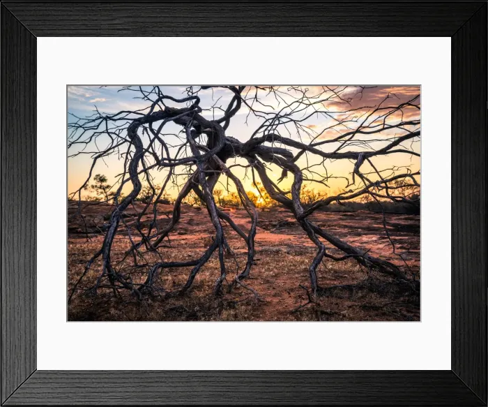 Framed Print : Outback scenery