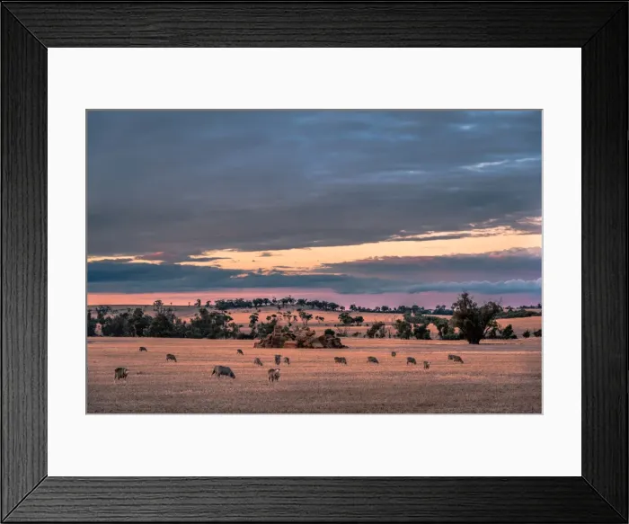 Framed Print : Wheatbelt Region Scenery