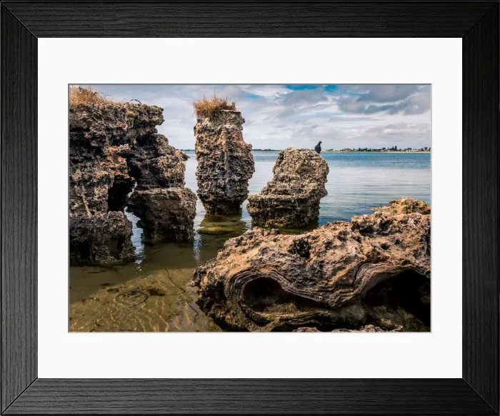 Framed Print : Limestone shore of Penguin Island, Western Australia Framed Print : Limestone shore of Penguin Island, Western Australia