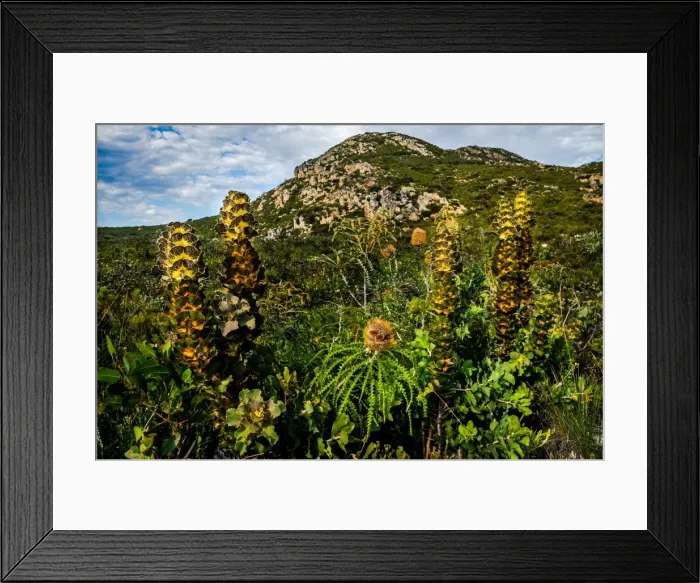 Framed Print : Sepulcralis Hill Framed Print : Sepulcralis Hill
