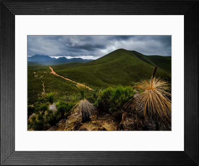 Framed Print : Stirling Range Drive