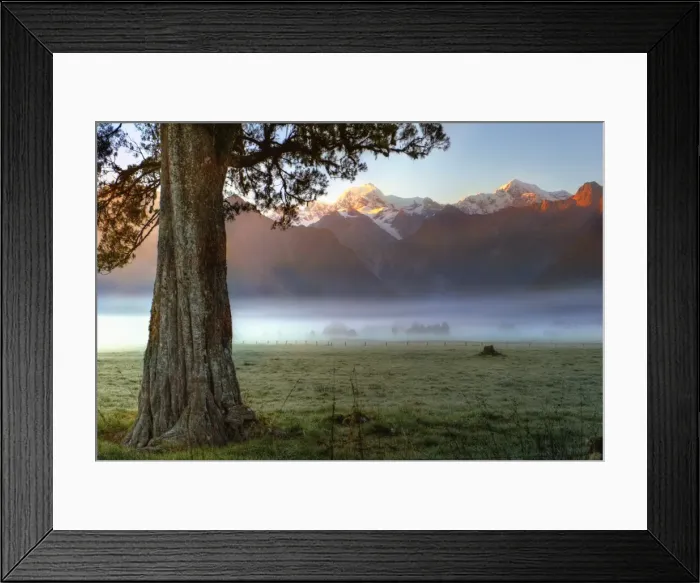 Framed Print : Morning mist Framed Print : Morning mist