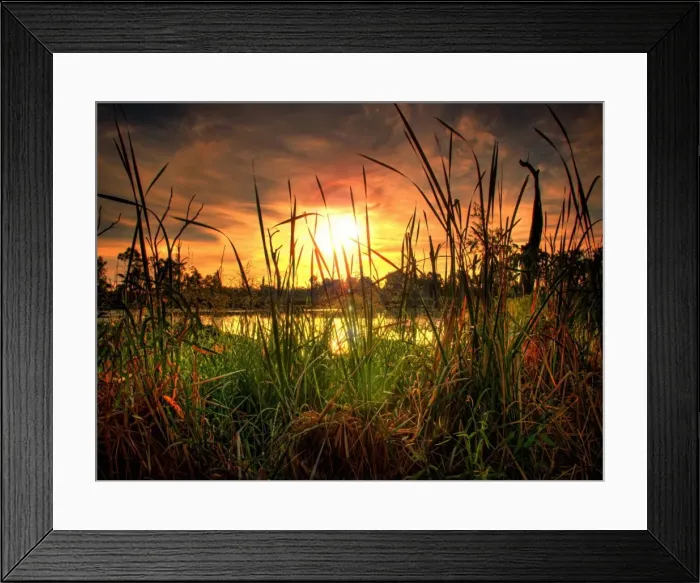 Framed Print : Swamp at sunset Framed Print : Swamp at sunset