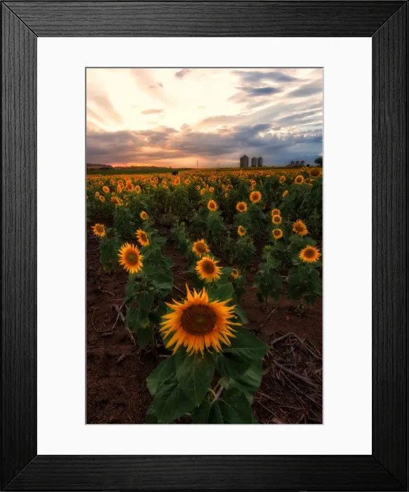 Framed Print : Photography from Naphak Modhiran Framed Print : Photography from Naphak Modhiran