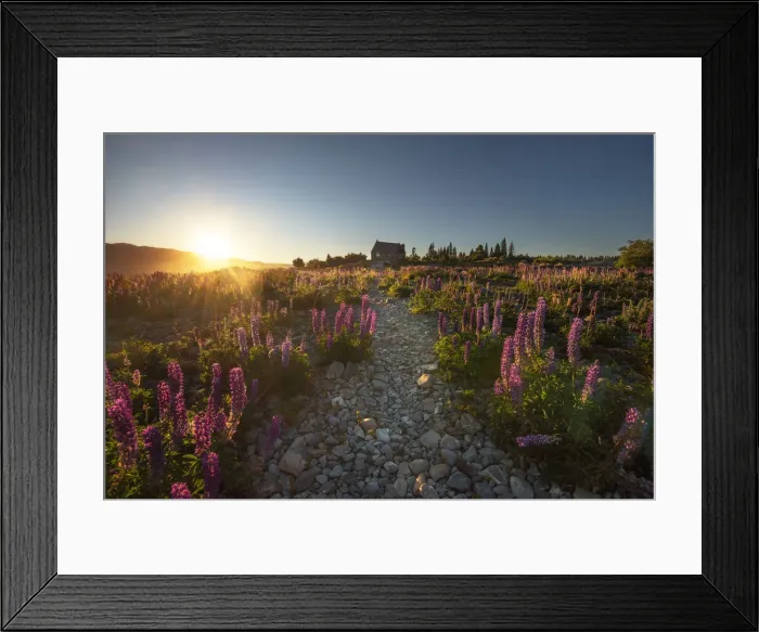 Framed Print : Photography from Naphak Modhiran Framed Print : Photography from Naphak Modhiran