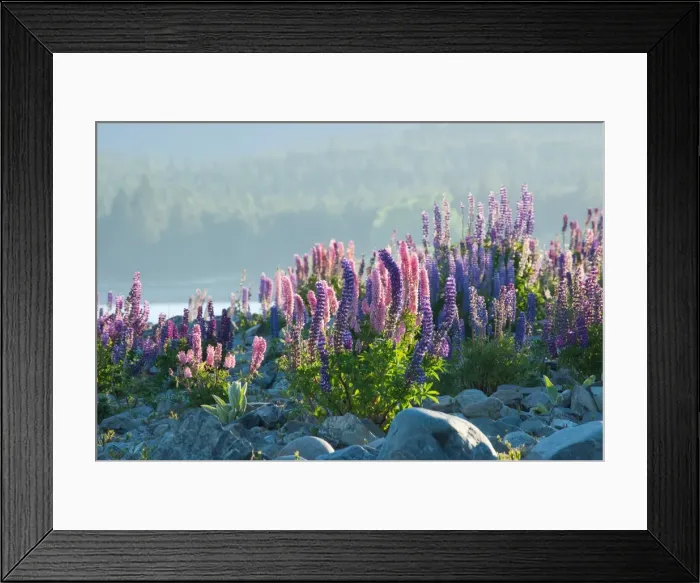 Framed Print : Photography from Naphak Modhiran