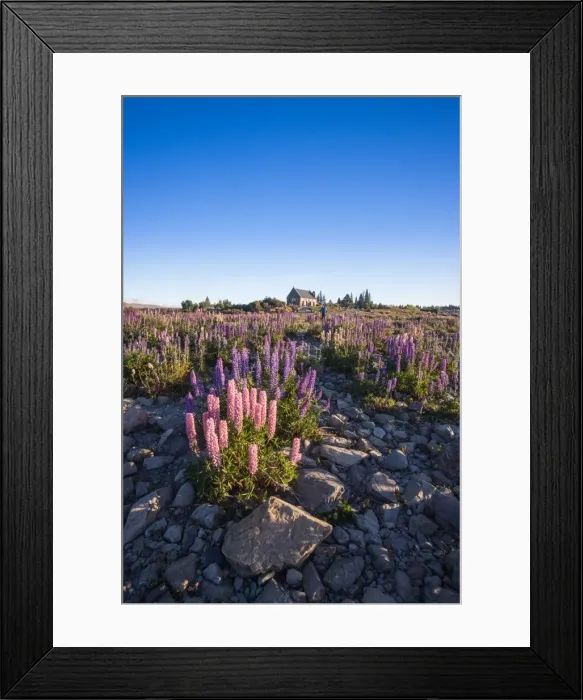 Framed Print : Photography from Naphak Modhiran Framed Print : Photography from Naphak Modhiran