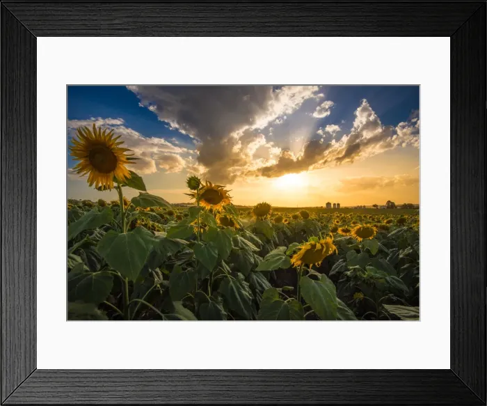 Framed Print : Photography from Naphak Modhiran