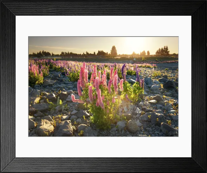 Framed Print : Photography from Naphak Modhiran Framed Print : Photography from Naphak Modhiran