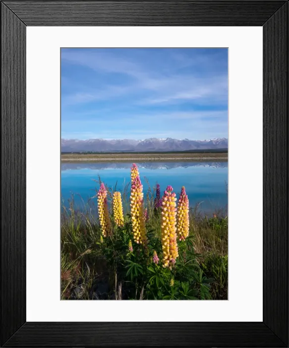 Framed Print : Photography from Naphak Modhiran Framed Print : Photography from Naphak Modhiran