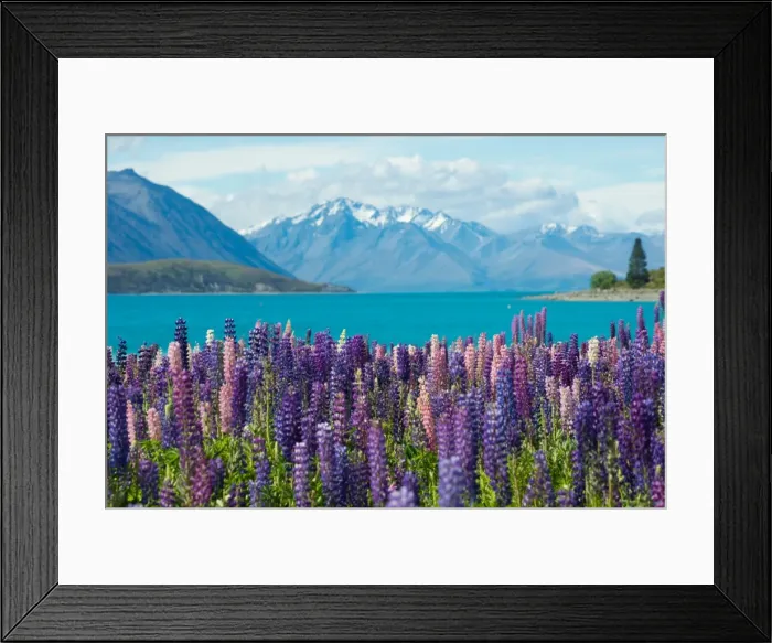 Framed Print : Photography from Naphak Modhiran Framed Print : Photography from Naphak Modhiran