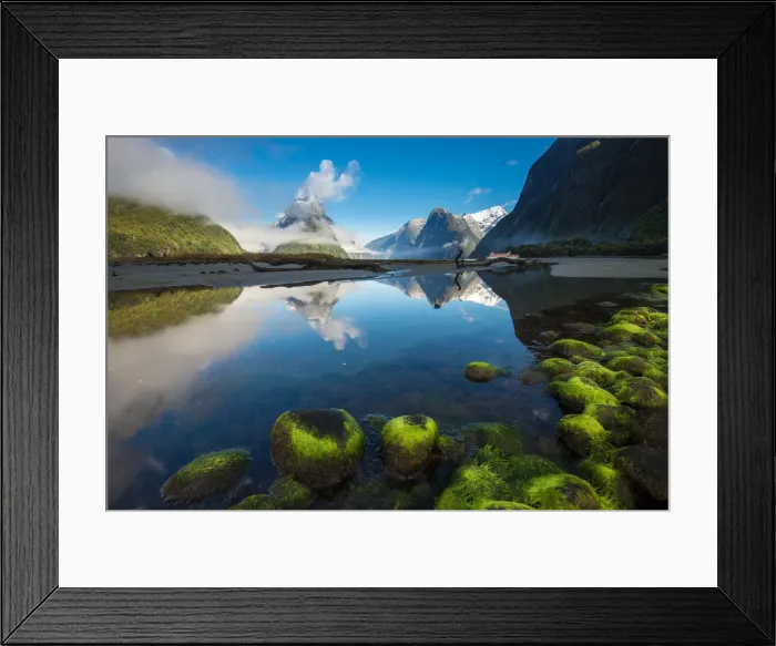 Framed Print : Milford sound and its reflection morning light Framed Print : Milford sound and its reflection morning light