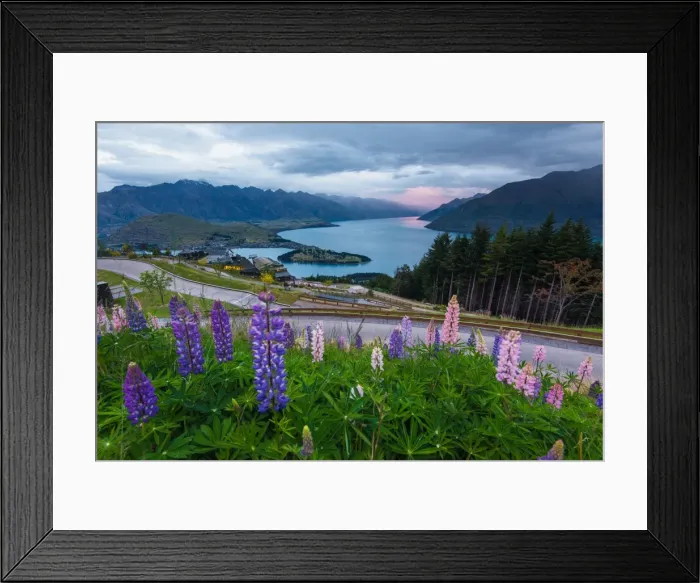 Framed Print : Queenstown from above