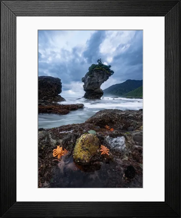 Framed Print : Starfish world at Motukeikei beach Framed Print : Starfish world at Motukeikei beach