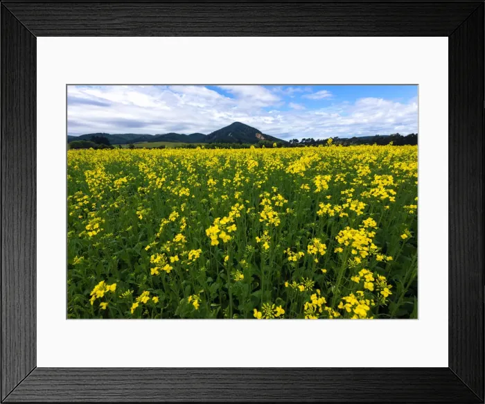 Framed Print : Beautiful New Zealand Framed Print : Beautiful New Zealand
