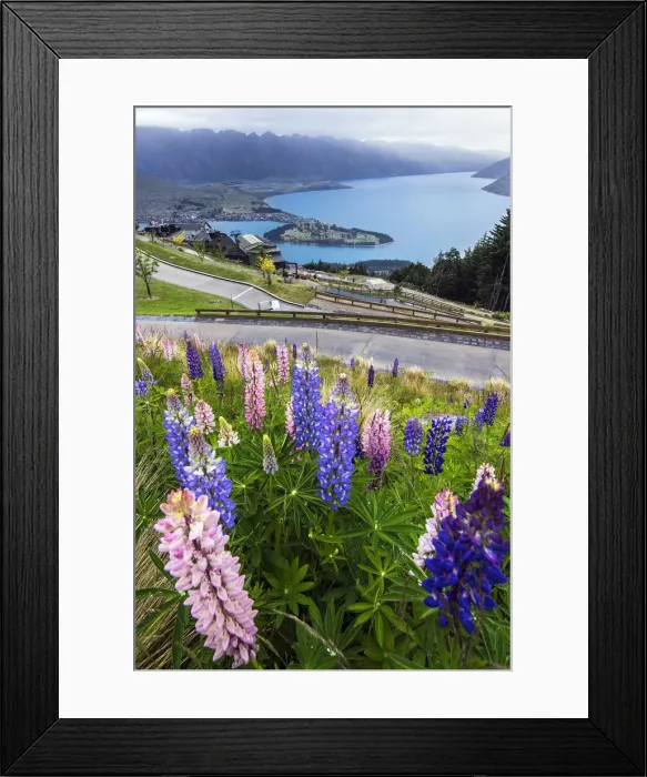 Framed Print : View of Queenstown from Gondola