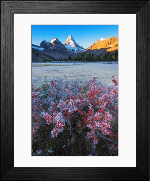 Framed Print : Red blue yellow